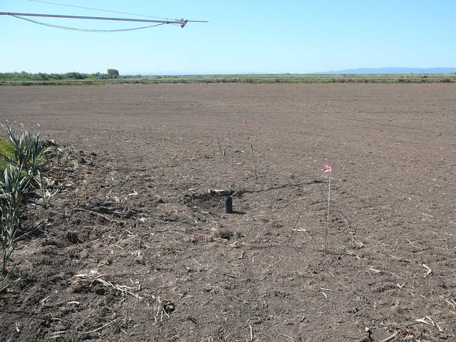 Sensor locations after rice planting