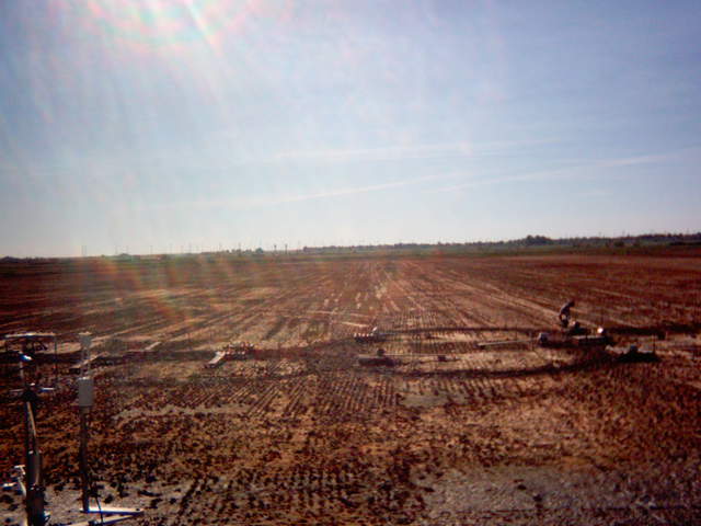 UC Davis on site