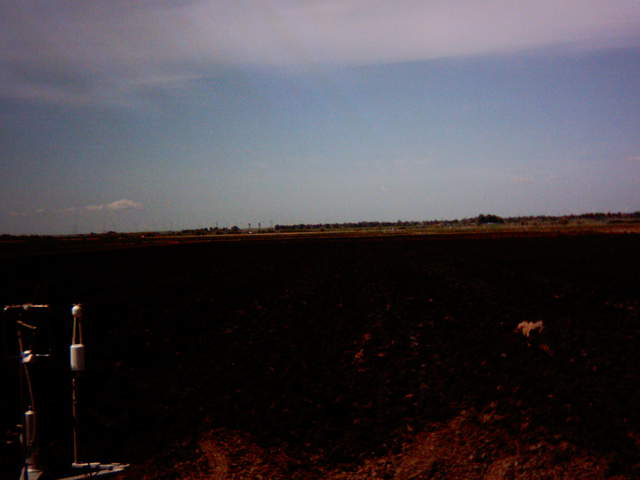 Plowing 9