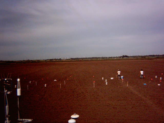 UC Davis on site