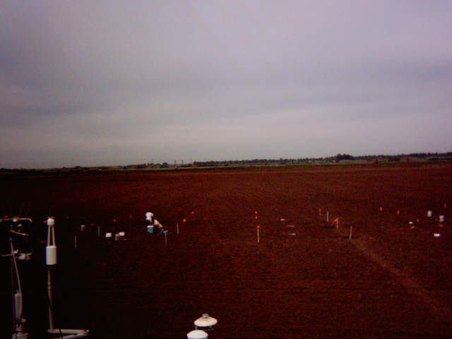 UC Davis on site