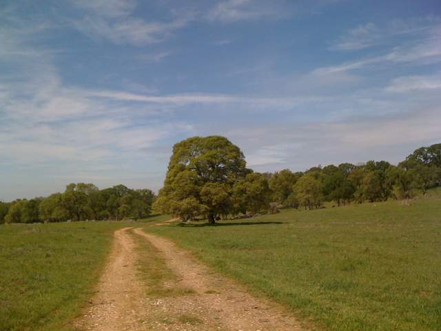 Dirt road green grass and trees at Vaira
