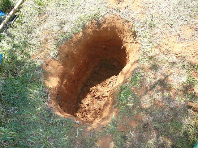 Tree root survey pit number 1