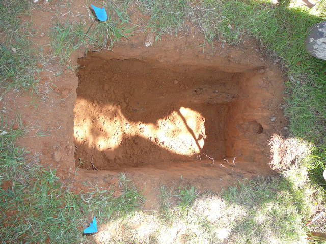 Root pit number 2 at the big tree