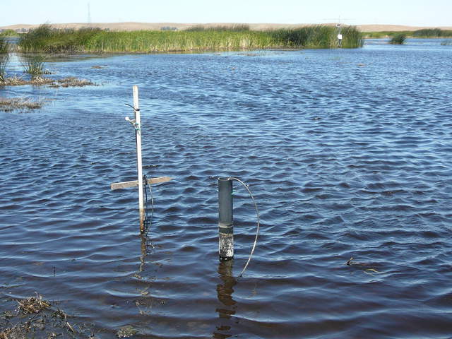Water level has dropped since our last visit