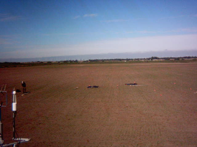 UC Davis on site