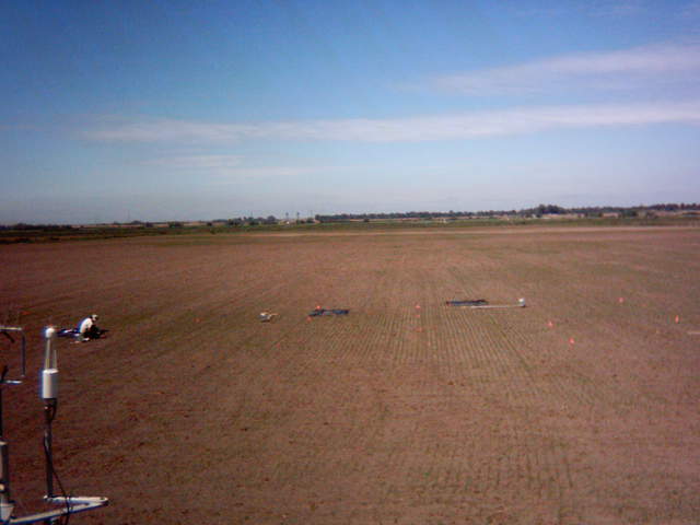 UC Davis on site