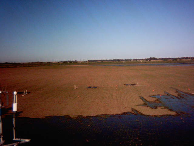Flooding sequence 12