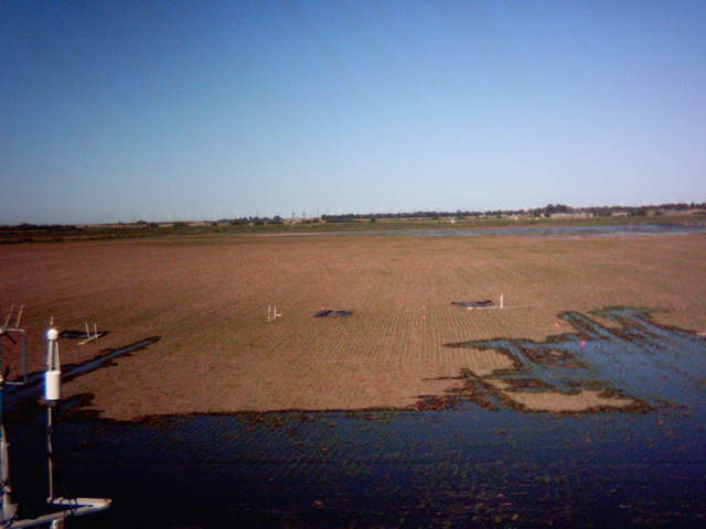 Flooding sequence 14