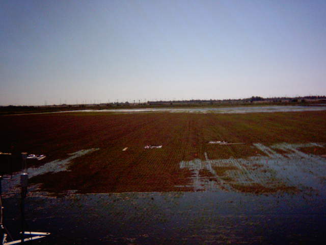 Flooding sequence 26