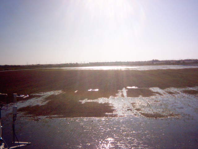 Flooding sequence 29