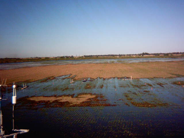 Flooding sequence 43
