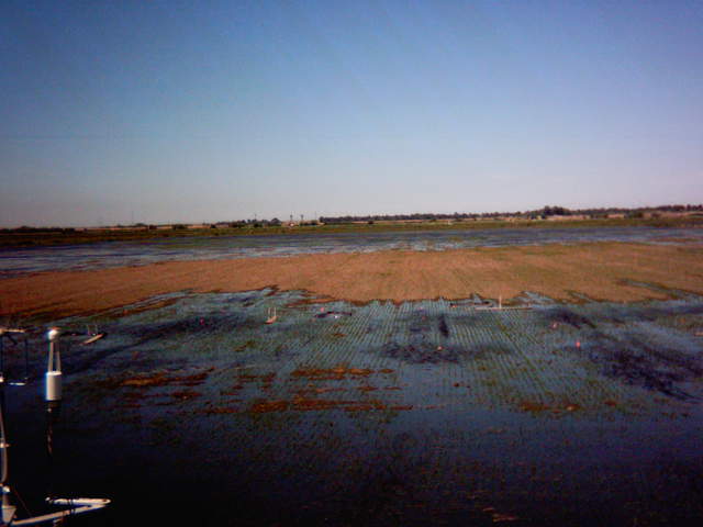 Flooding sequence 47