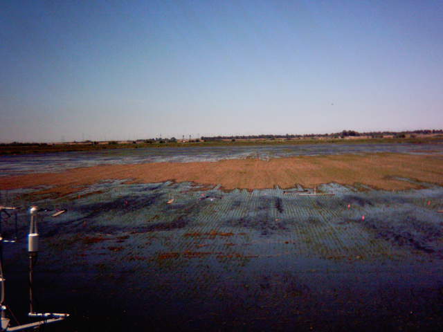 Flooding sequence 48