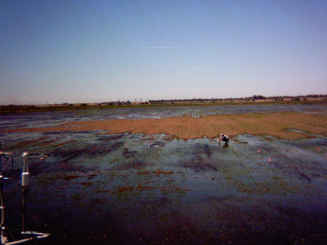 Flooding sequence 49