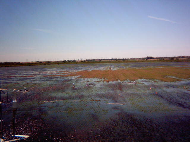 Flooding sequence 51