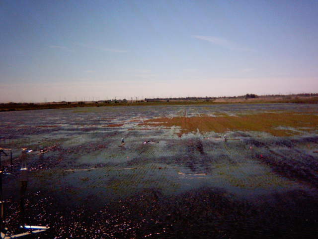 Flooding sequence 52