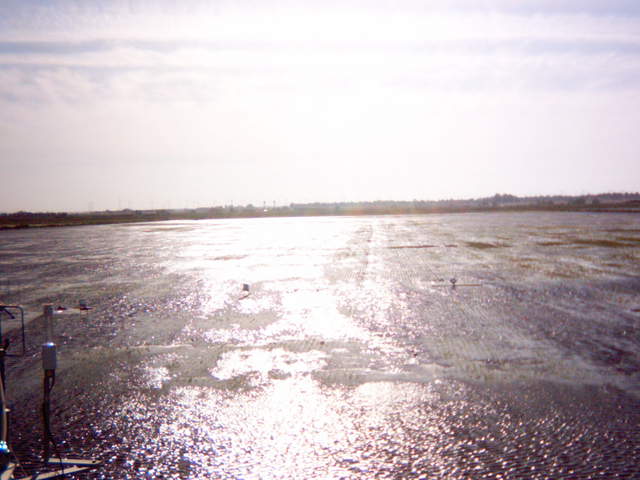 Flooding sequence 57