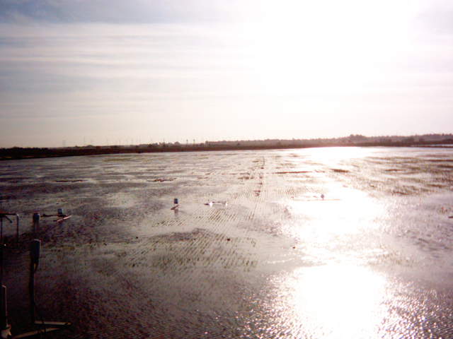 Flooding sequence 60