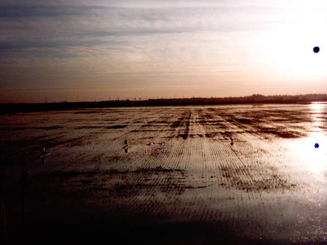 Flooding sequence 62