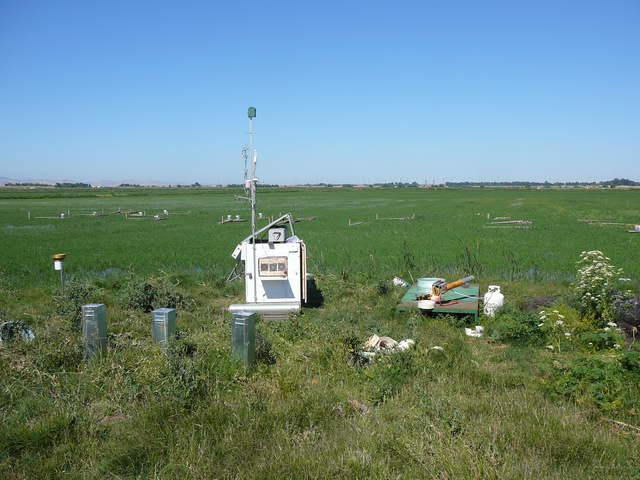Eddy tower and chamber measurements in the rice paddy