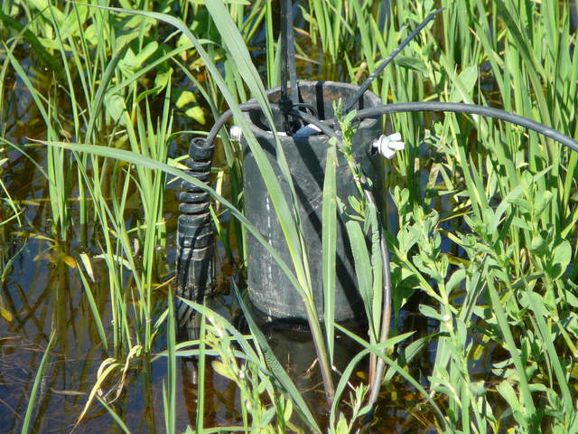 Top of well pipe at the rice field