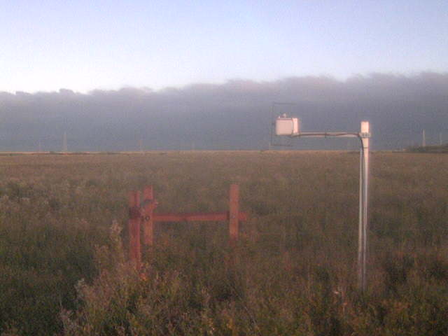 Morning fog
