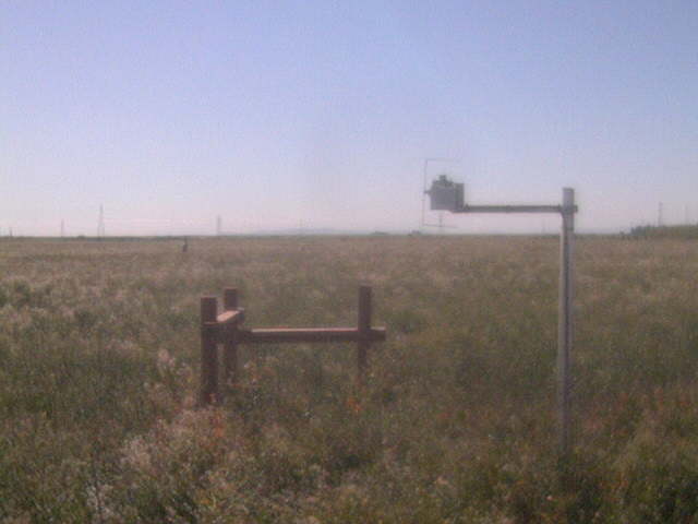 People in the field