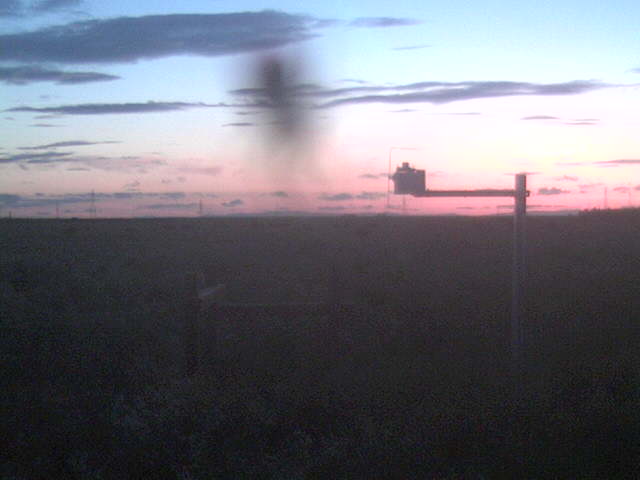 Sunset with spider