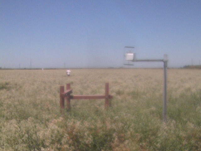 People in the field