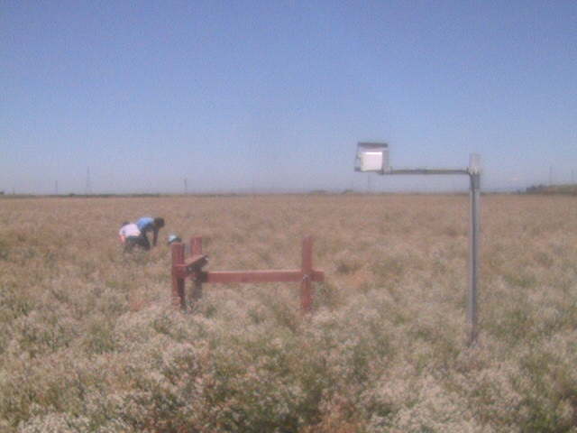 People in the field