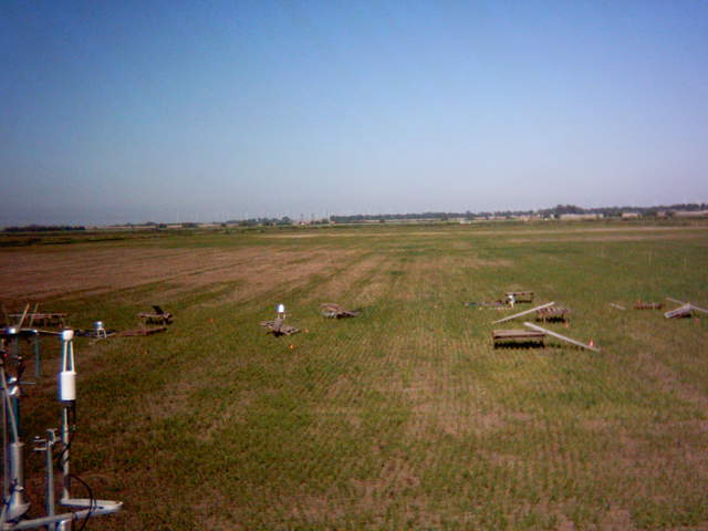 UC Davis site construction