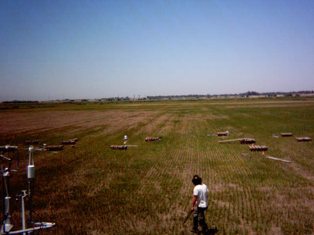 UC Davis site construction