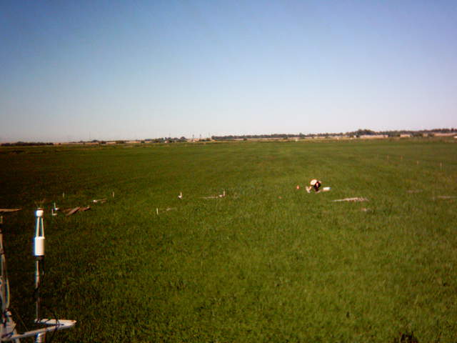 UC Davis in the field