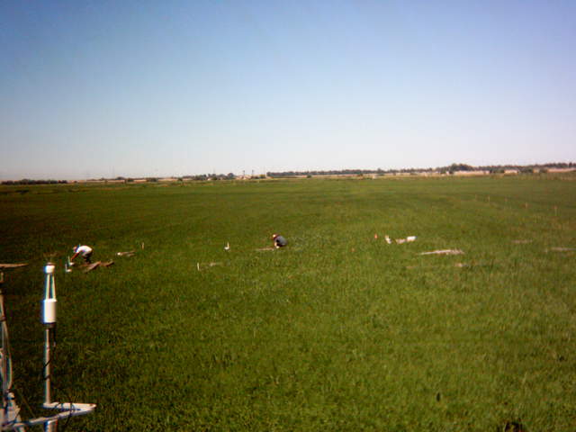 UC Davis in the field