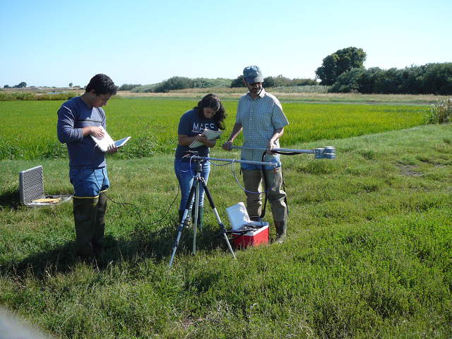 Dennis and undergrads testing LED sensors with spectrometer