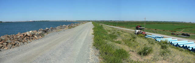 View of the levee at Twitchell