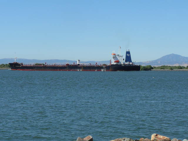 View of ship on the river from the levee