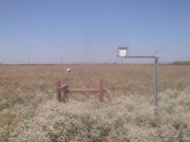 People in the field