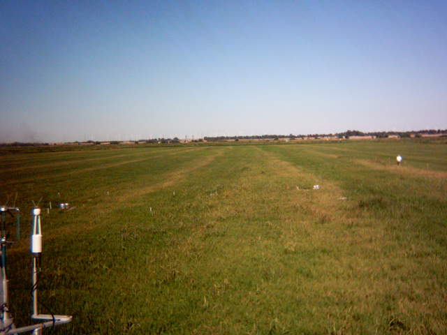 Jaclyn in the field
