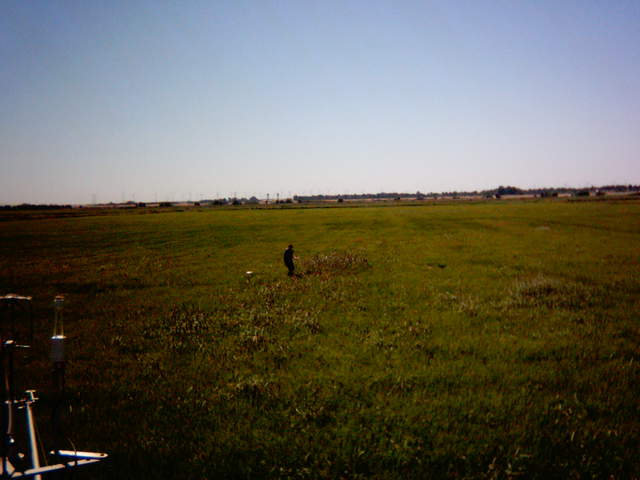 UC Davis in the field