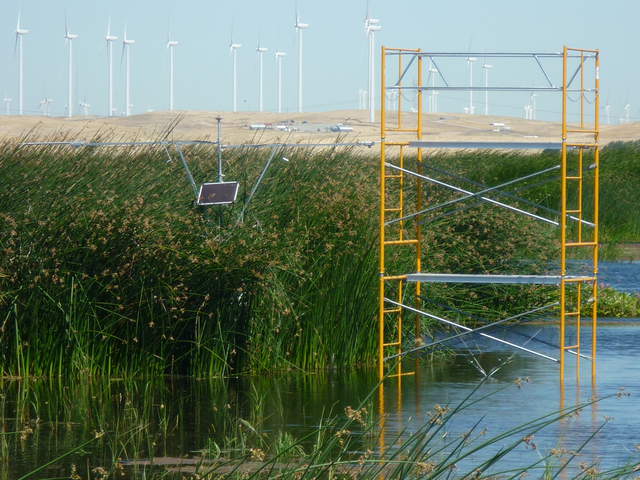 New scaffolding near Tule Tower