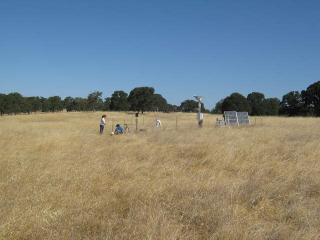 Laurie and Siyan doing fieldwork in the pasture