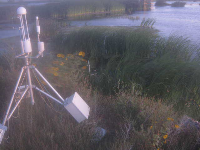 Camera bent down by some bird.