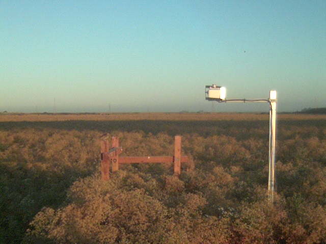 Bridge shadow