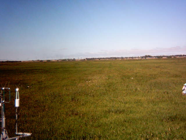 Jaclyn in the field