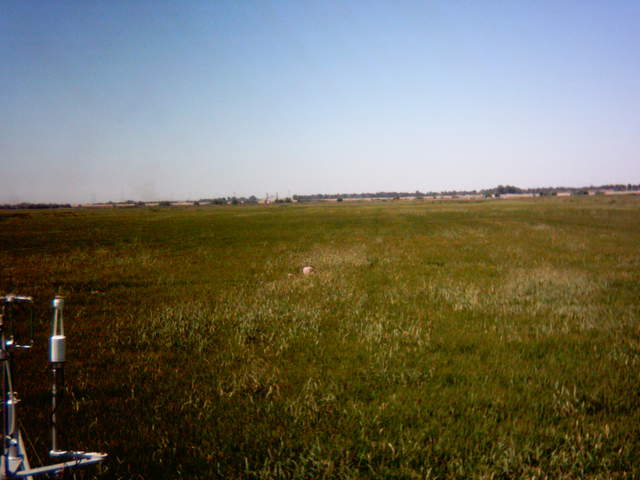 Weedy rice filed and maybe someone doing chamber measurements