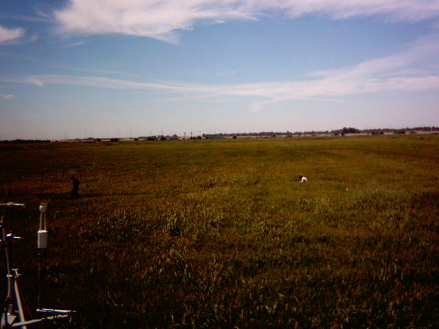 UC Davis in the field.