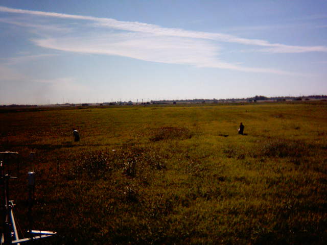 UC Davis in the field.
