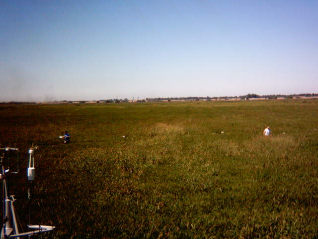 UC Davis in the field.